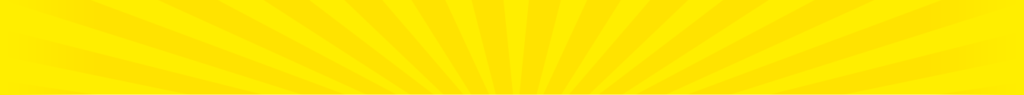 MrPRICE Company