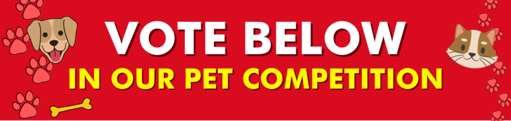 MrPRICE Company